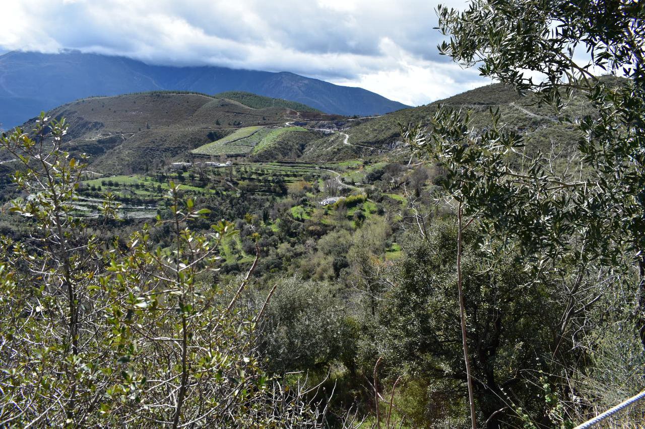Dreams Alpujarra Daire Pampaneira Dış mekan fotoğraf