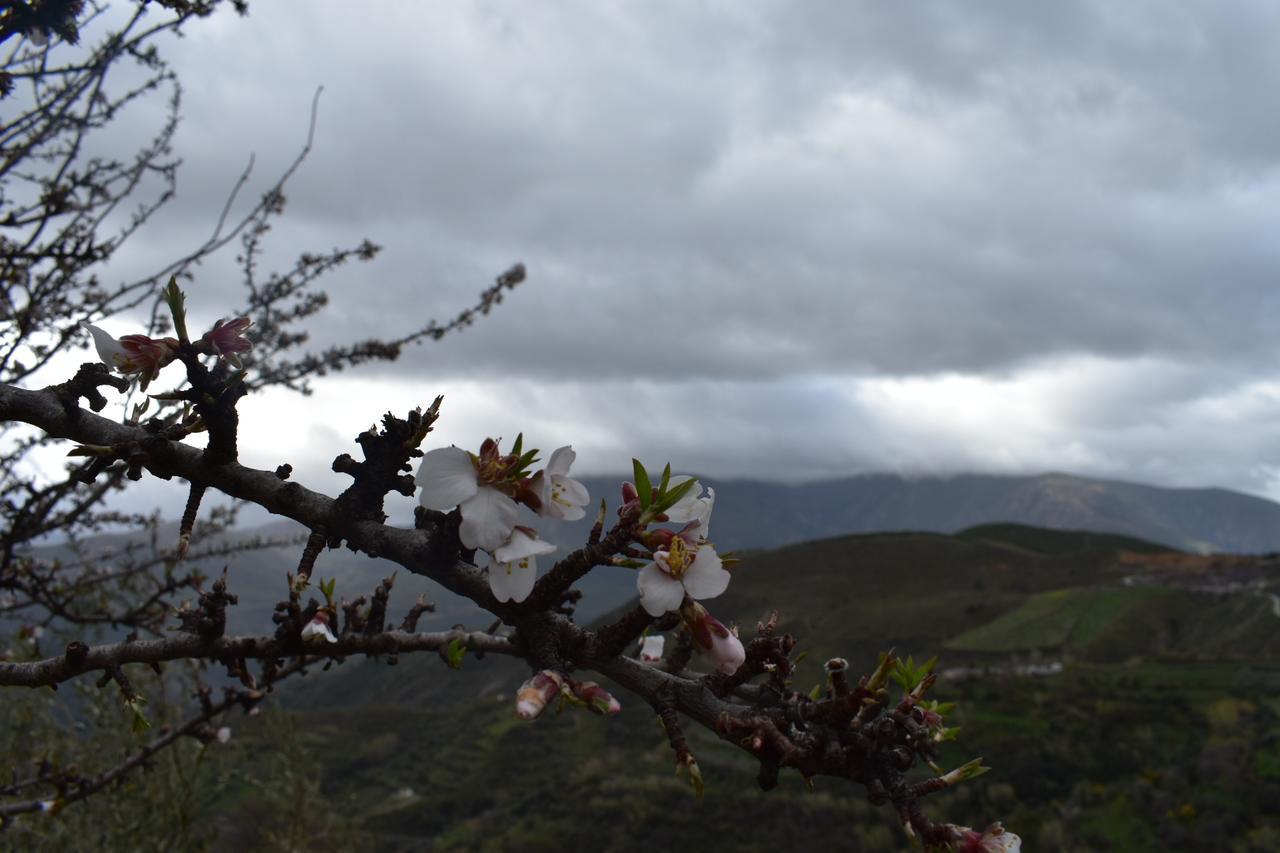 Dreams Alpujarra Daire Pampaneira Dış mekan fotoğraf